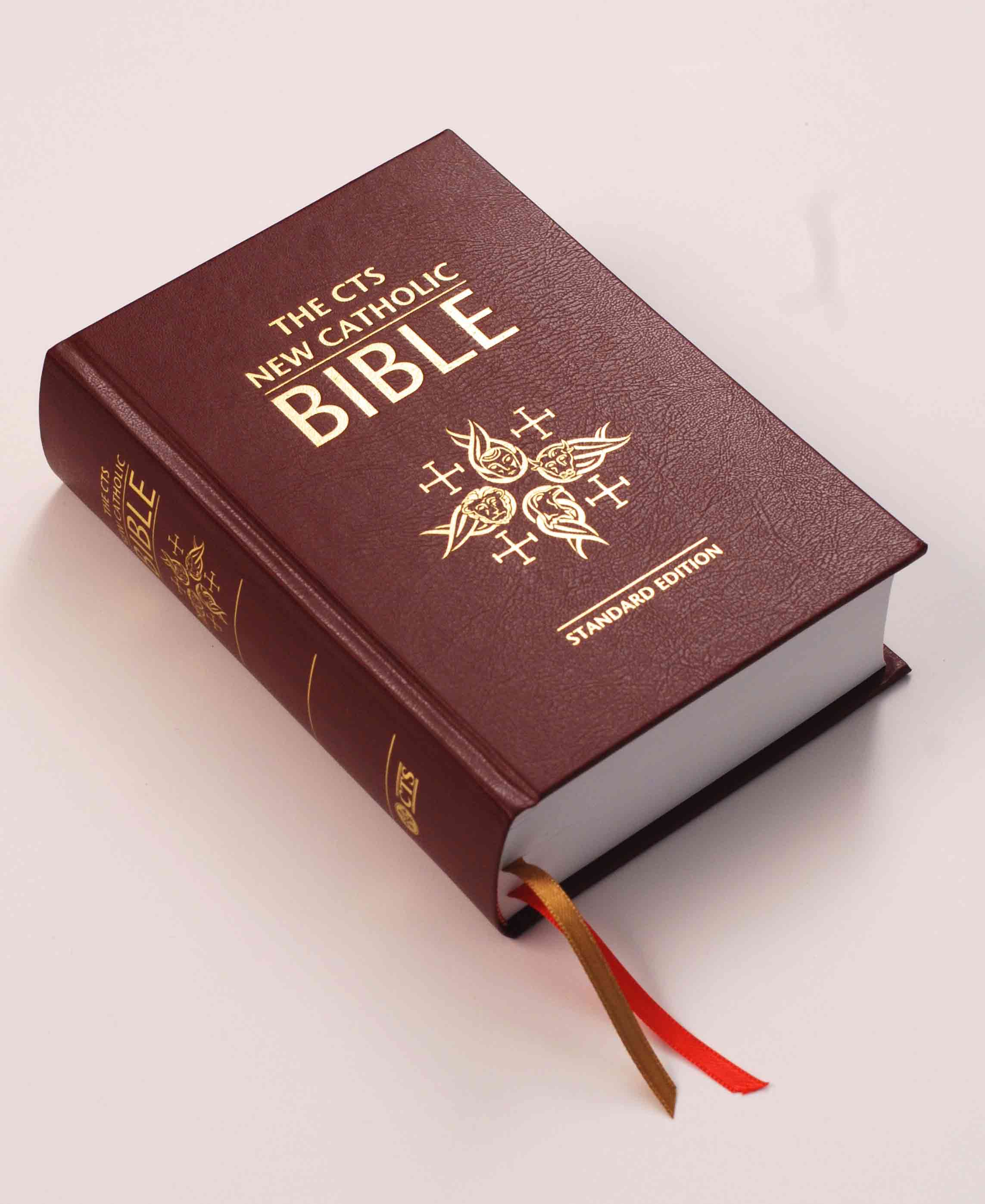 Four Questions About The Bible You Should Ask Your Protestant Friends ...